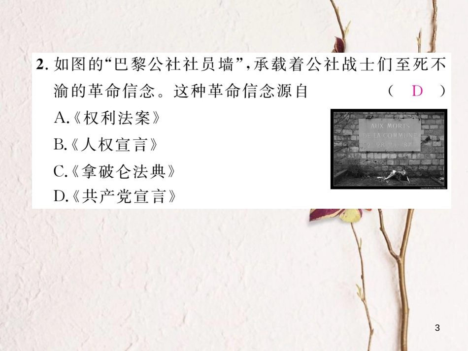 （河北专版）中考历史总复习 第14讲 殖民扩张与殖民地人民的抗争 国际工人运动与马克思主义的诞生命题强化练课件_第3页