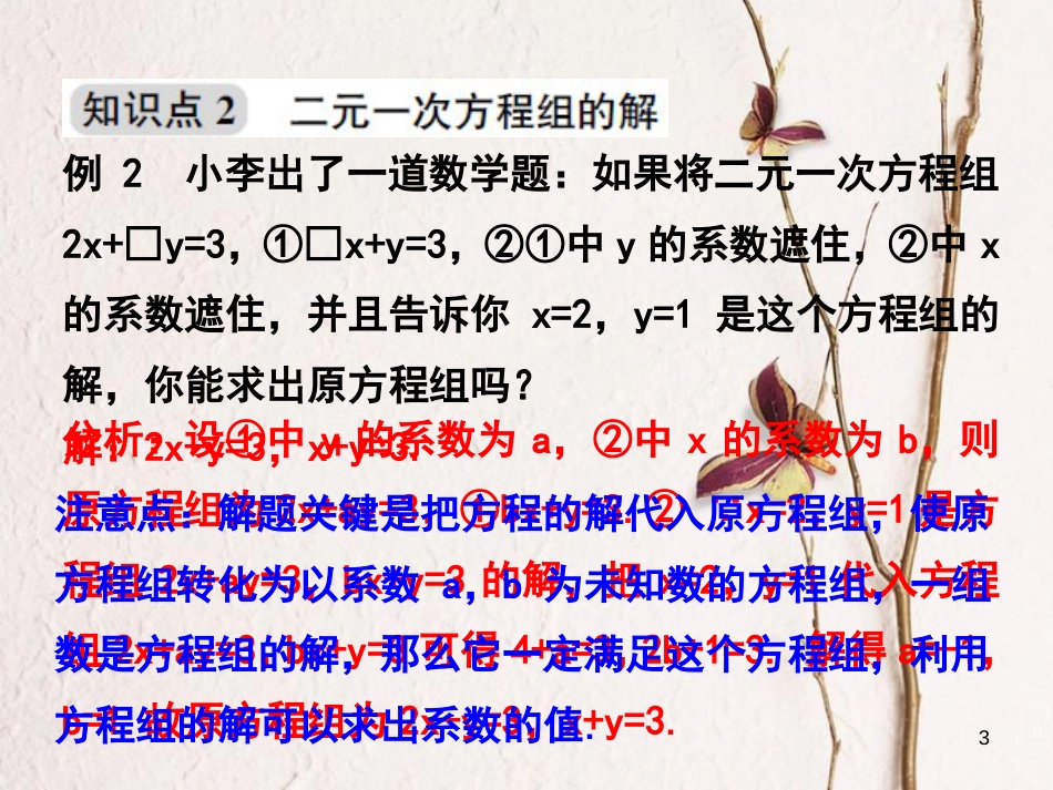 浙江省嘉兴市秀洲区七年级数学下册 第2章 二元一次方程组 2.2 二元一次方程组课件 （新版）浙教版_第3页