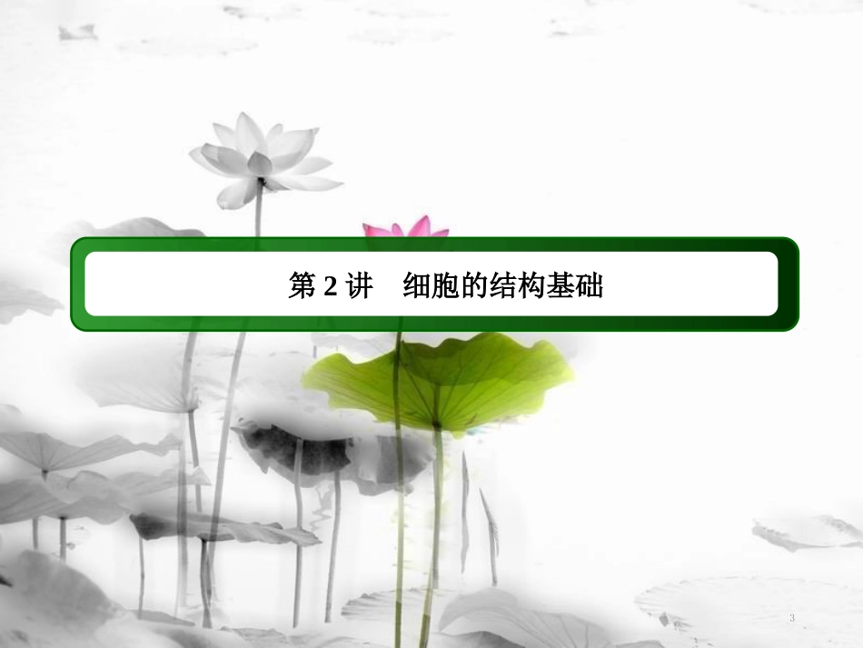 届高三生物二轮复习 2细胞的结构基础课件_第3页