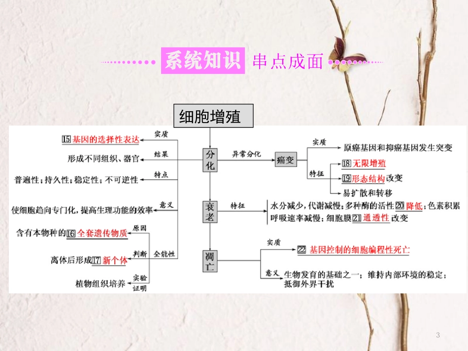 （全国通用）高考生物二轮复习 专题一 细胞 串讲二 细胞的生命历程 第1课时 基础自查课件_第3页