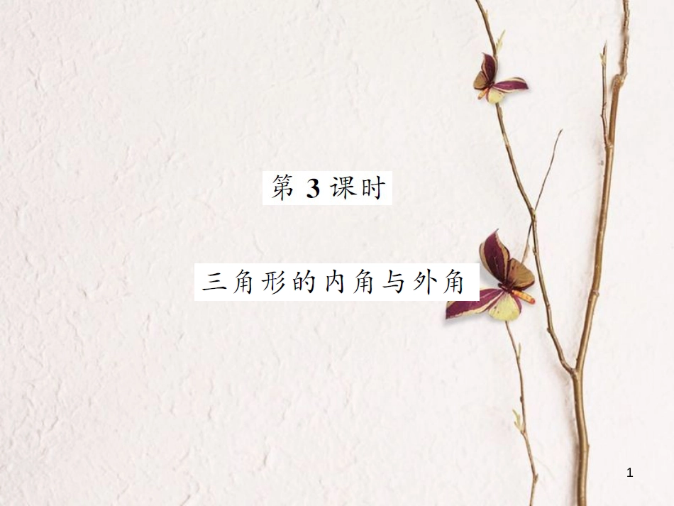 八年级数学上册 第2章 三角形 2.1 三角形 第3课时 三角形的内角与外角习题课件 （新版）湘教版_第1页