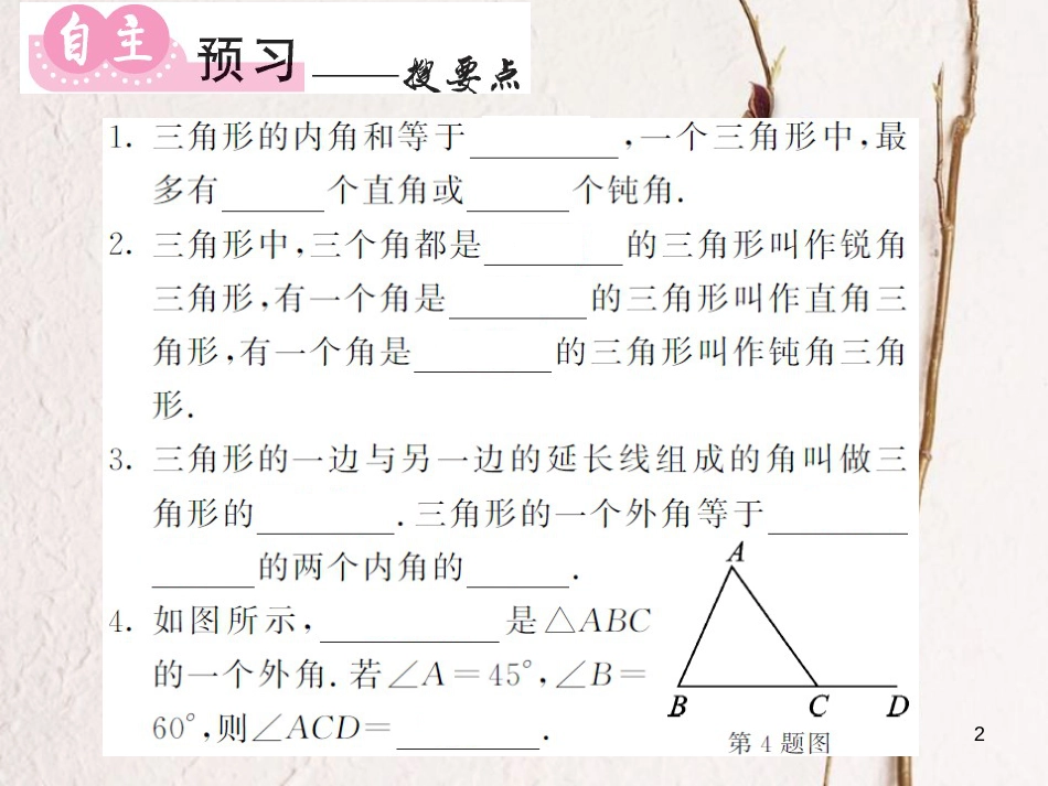 八年级数学上册 第2章 三角形 2.1 三角形 第3课时 三角形的内角与外角习题课件 （新版）湘教版_第2页