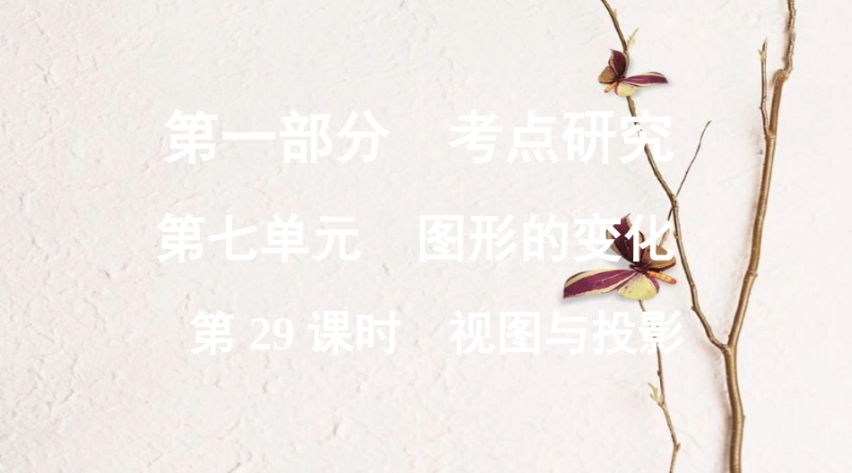 浙江省中考数学复习第一部分考点研究第七单元图形的变化第29课时视图与投影课件_第1页