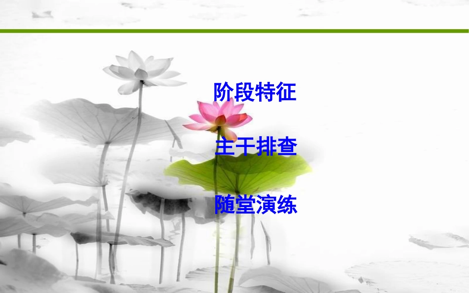 届高考历史二轮复习 第一部分 近代篇 工业文明时代的世界与中国 板块5 西方文明的兴起与发展—手工工场时期的资本主义课件_第2页