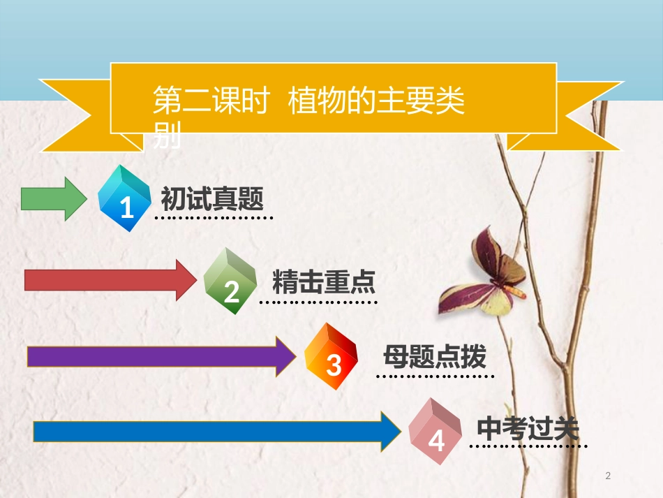 广东省中考生物 模块八 生物的多样性 第二课时 植物的主要类别课件_第2页