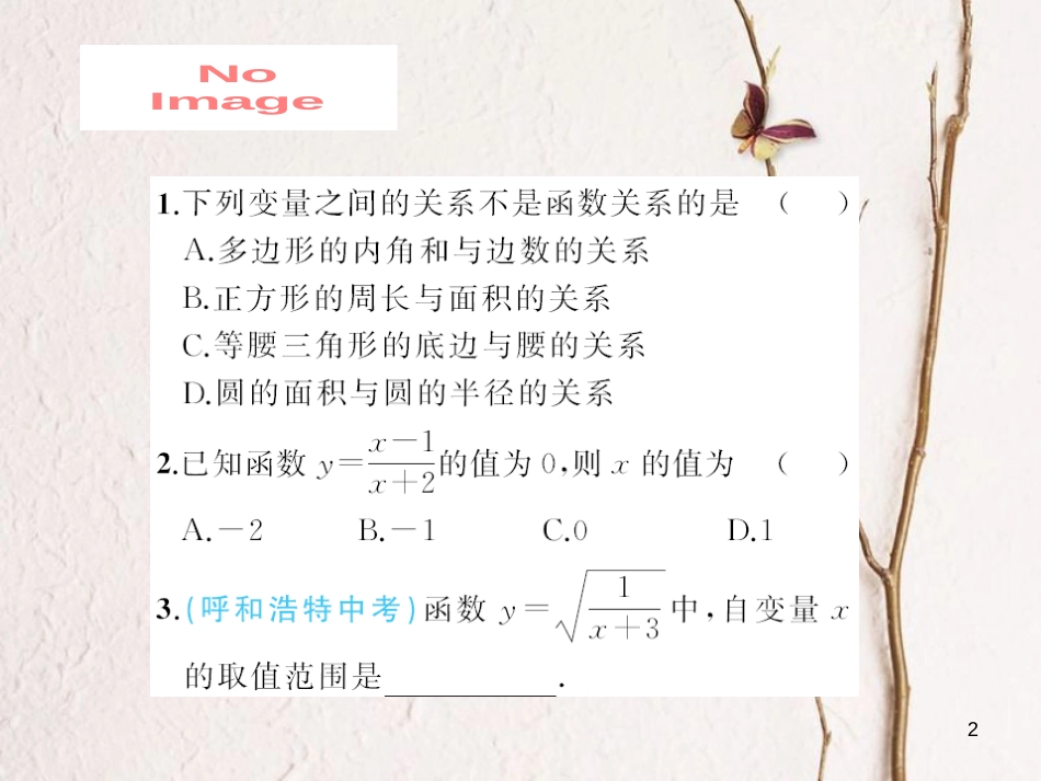 八年级数学下册 17 函数及其图象 17.1 变量与函数作业课件 （新版）华东师大版_第2页