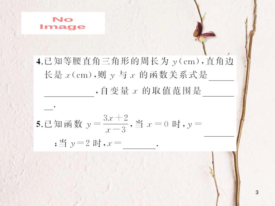 八年级数学下册 17 函数及其图象 17.1 变量与函数作业课件 （新版）华东师大版_第3页