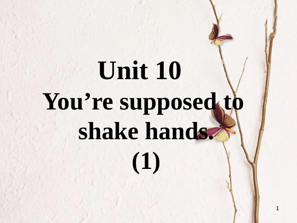 九年级英语全册 口译精练 Unit 10 You’re supposed to shake hands(1)课件 （新版）人教新目标版_第1页