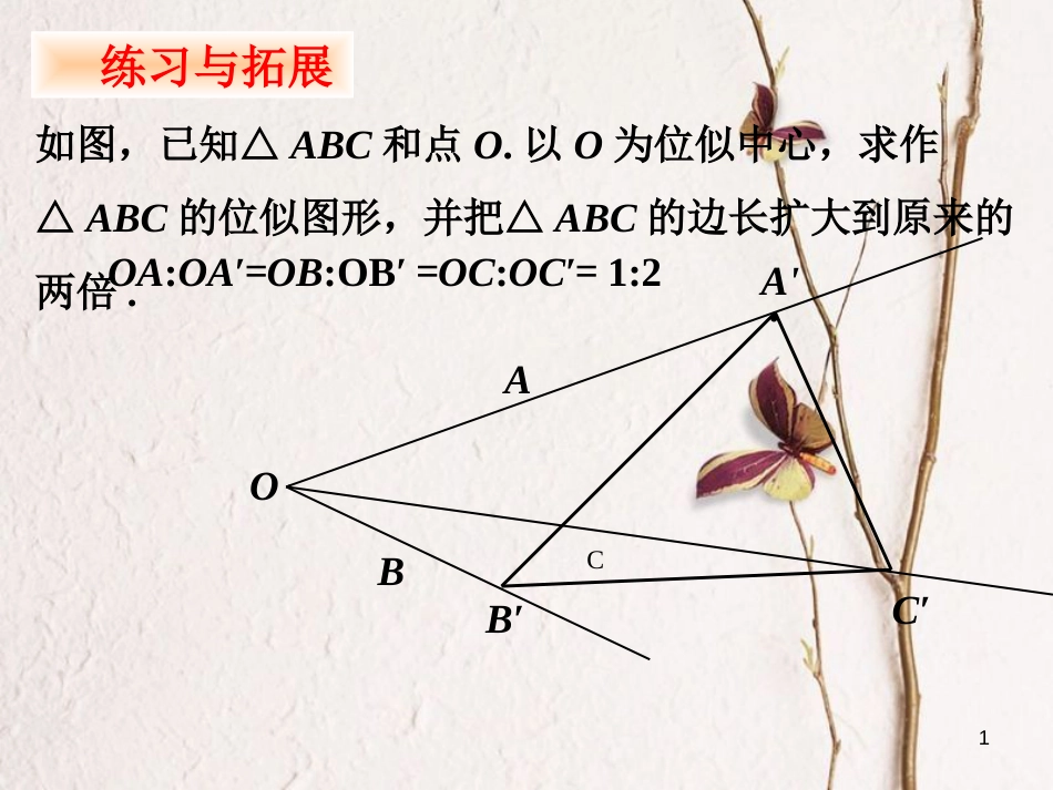 九年级数学下册 6.6 图形的位似拓展素材 （新版）苏科版_第1页