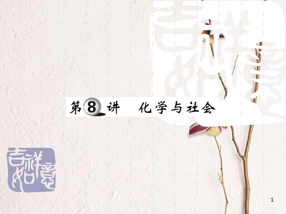 山东省中考化学复习 第一部分 基础知识复习 第二章 常见的物质 第8讲 化学与社会课件_第1页