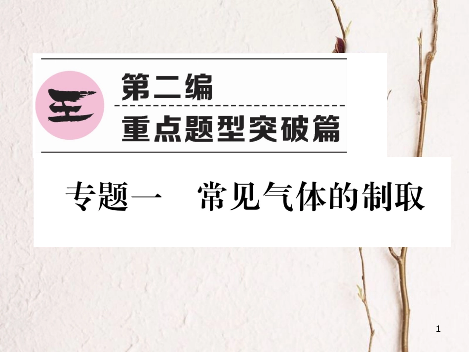 （青海专版）中考化学复习 第2编 重点题型突破篇 专题1 常见气体的制取（精讲）课件_第1页