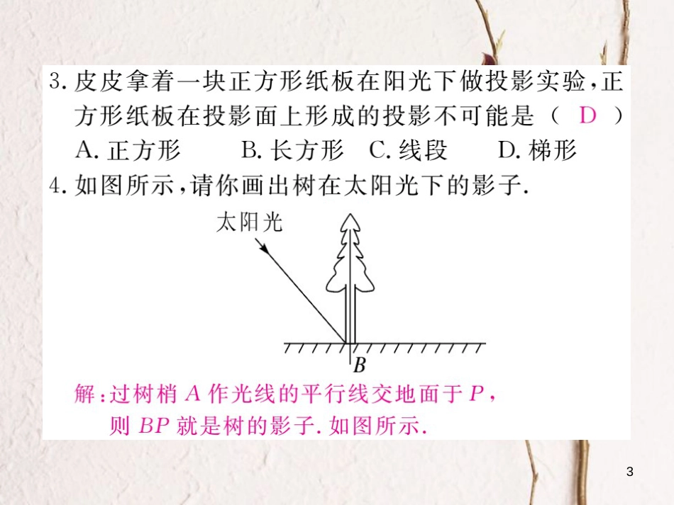 九年级数学下册 29 投影与视图 29.1 投影 第1课时 平行投影与中心投影作业课件 （新版）新人教版_第3页