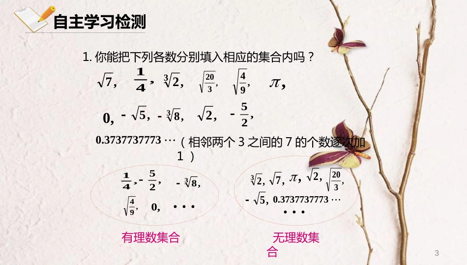 八年级数学上册 第十一章 实数和二次根式 11.4 无理数与实数 11.4.1 无理数课件 北京课改版_第3页