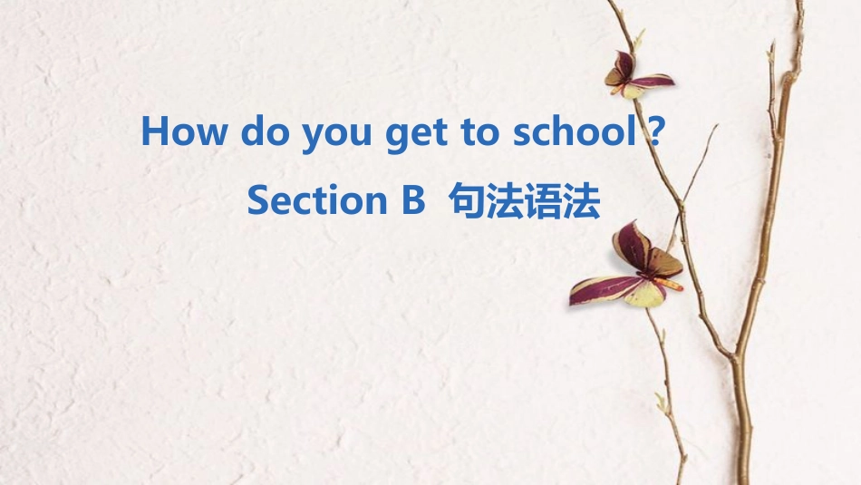 七年级英语下册 Unit 3 How do you get to school Section B句法语法课件 （新版）人教新目标版_第1页