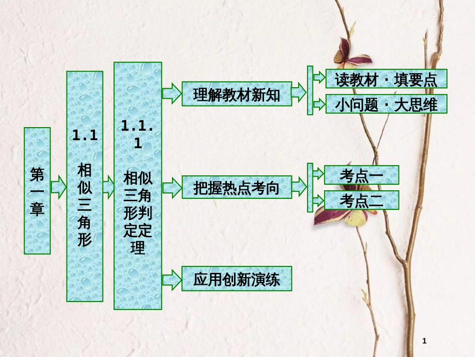 高中数学 第一章 相似三角形定理与圆幂定理 1.1.1 相似三角形判定定理课件 新人教B版选修4-1_第1页