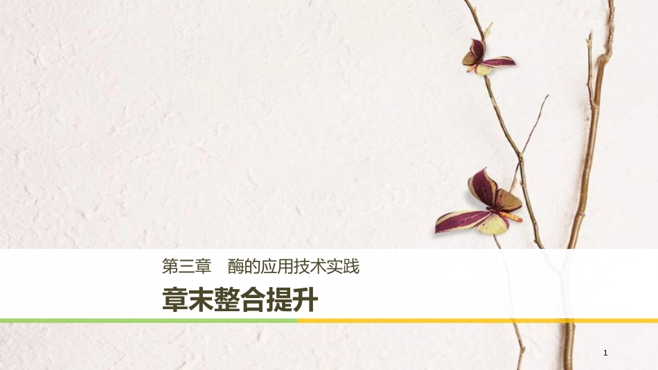 高中生物 第三章 酶的应用技术实践章末整合提升同步备课课件 苏教版选修1_第1页