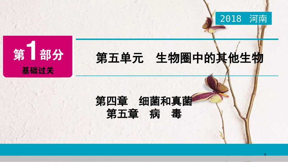 河南省2018年中考生物总复习 第1部分 第5单元 第4章 第5章 细菌和真菌、病毒课件_第1页