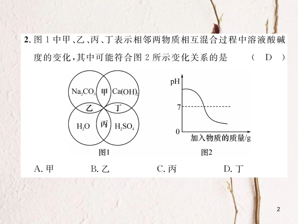九年级化学下册 第10单元 酸和碱达标测试题作业课件 （新版）新人教版_第2页