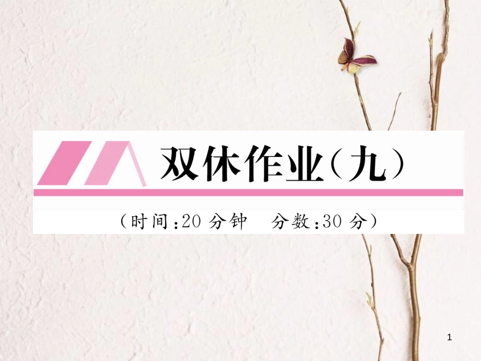 九年级化学下册 双休作业(九)作业课件 (新版)新人教版_第1页