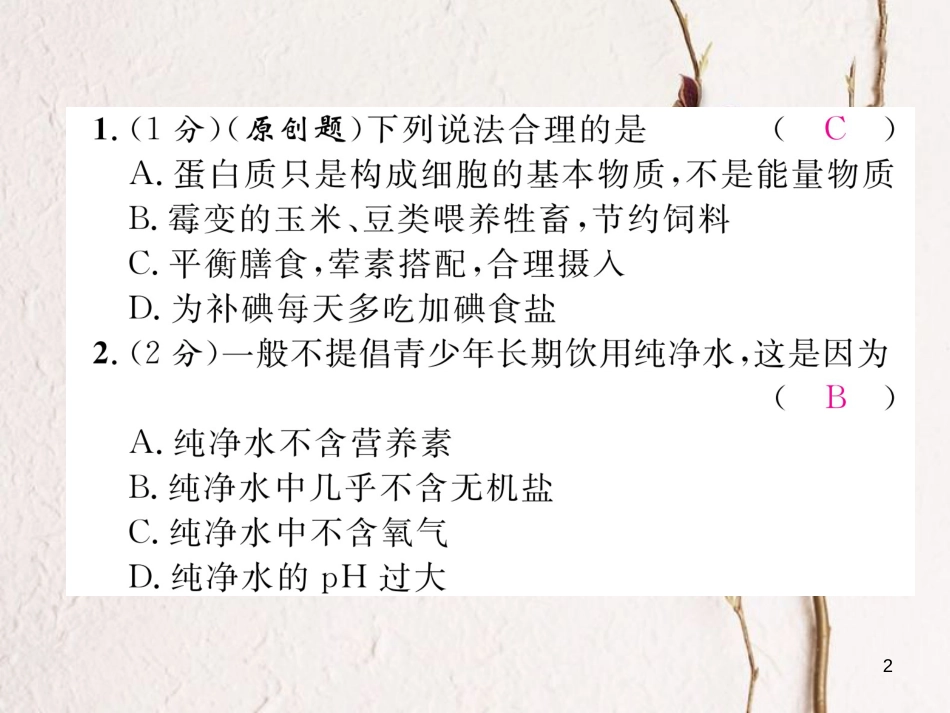 九年级化学下册 双休作业(九)作业课件 (新版)新人教版_第2页