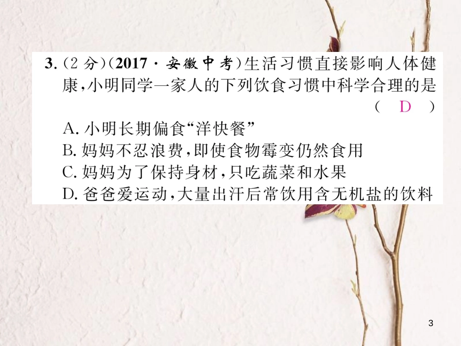 九年级化学下册 双休作业(九)作业课件 (新版)新人教版_第3页