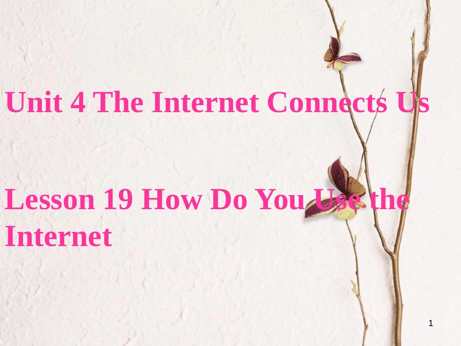 八年级英语下册 Unit 4 The Internet Connects Us Lesson 19 How Do You Use the Internet课件1 （新版）冀教版_第1页