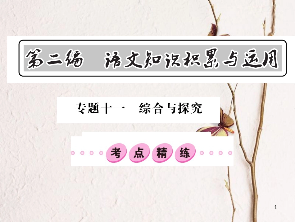 中考语文总复习 第2编 语文知识积累与运用 专题十一 综合与探究考点精练1课件 语文版_第1页