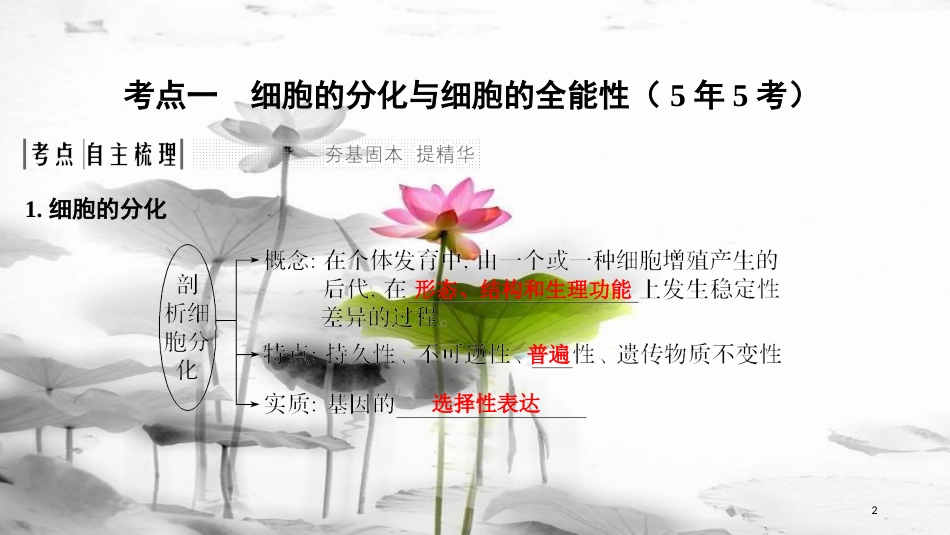 届高考生物一轮复习 第四单元 细胞的生命历程 第13讲 细胞的分化、衰老、凋亡与癌变课件_第2页