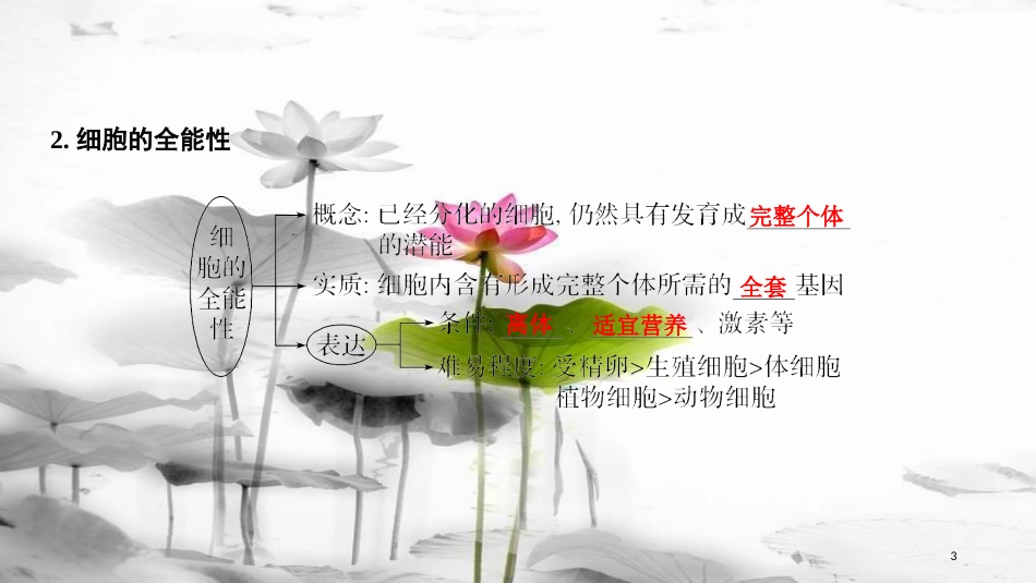 届高考生物一轮复习 第四单元 细胞的生命历程 第13讲 细胞的分化、衰老、凋亡与癌变课件_第3页