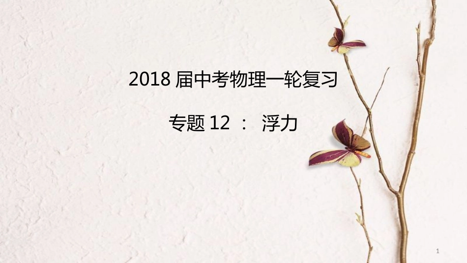 中考物理一轮复习 专题突破12 浮力课件 新人教版_第1页