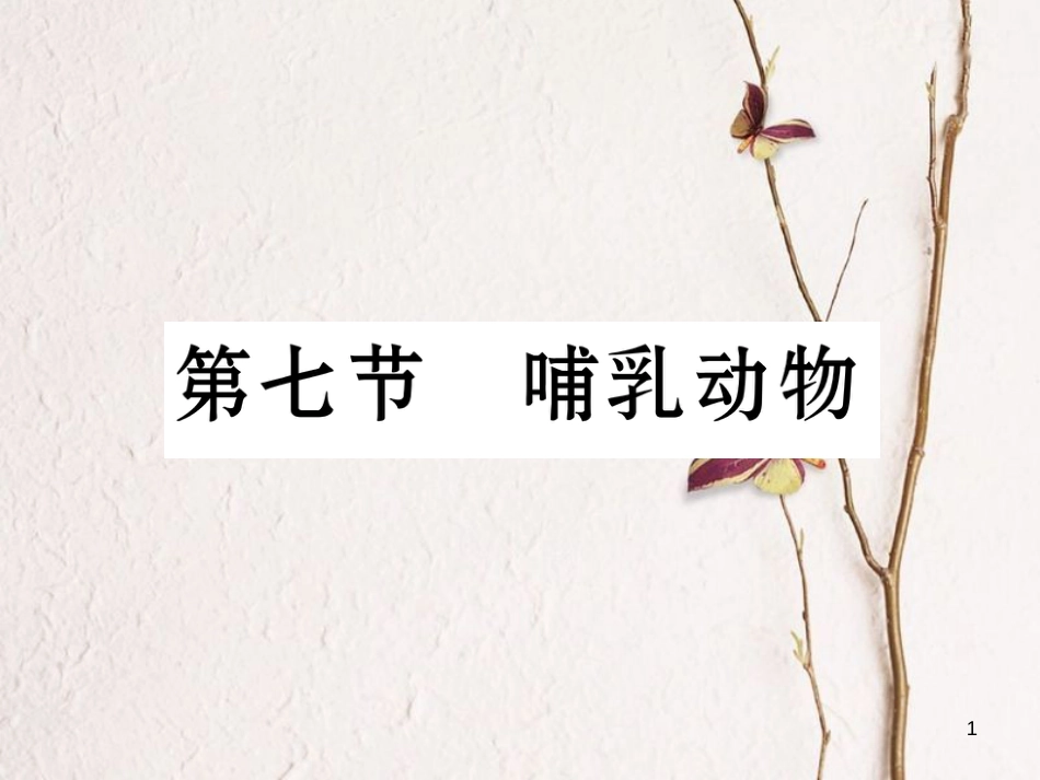 八年级生物上册 第五单元 第1章 第七节 哺乳动物课件 （新版）新人教版_第1页