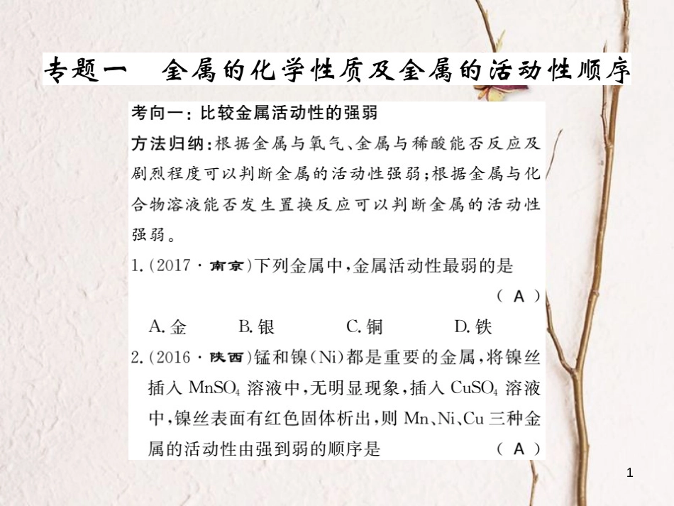 九年级化学下册 专题一 金属的化学性质及金属的活动性顺序习题课件 （新版）新人教版_第1页