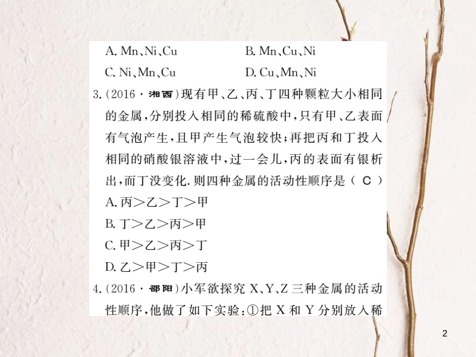九年级化学下册 专题一 金属的化学性质及金属的活动性顺序习题课件 （新版）新人教版_第2页