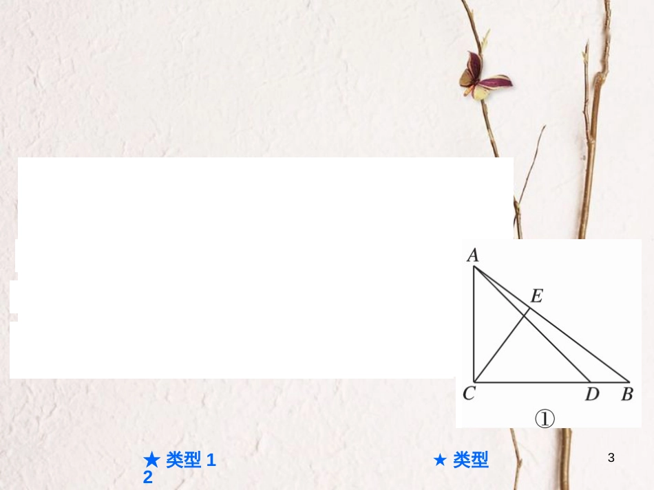 中考数学总复习 第三部分 压轴热点突破 热点突破二 三角形中的计算与证明题课件_第3页