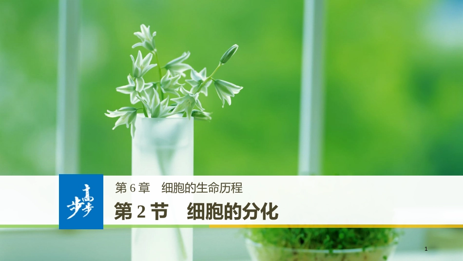 高中生物 第6章 细胞的生命历程 第2节 细胞的分化课件 新人教版必修1_第1页