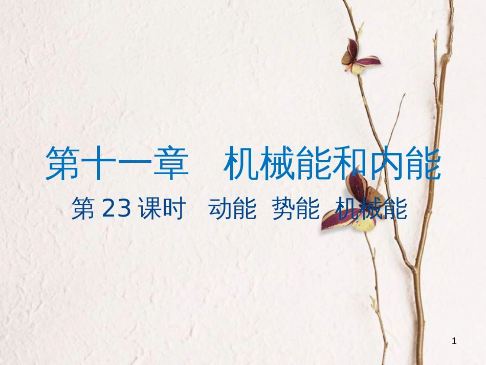 江苏省大丰市中考物理第23课时动能势能机械能复习课件_第1页