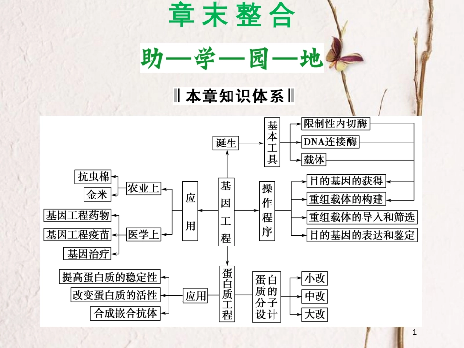 高中生物 第一单元 生物技术与生物工程 第一章 基因工程和蛋白质工程章末整合课件 中图版选修3_第1页