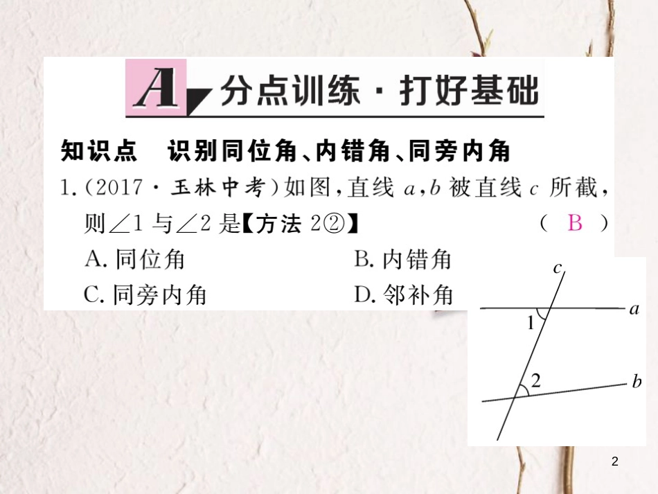 七年级数学下册 第5章 相交线与平行线 5.1 相交线 5.1.3 同位角、内错角、同旁内角练习课件 （新版）新人教版_第2页