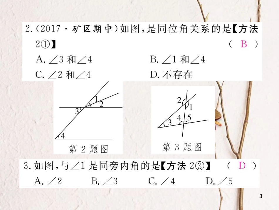 七年级数学下册 第5章 相交线与平行线 5.1 相交线 5.1.3 同位角、内错角、同旁内角练习课件 （新版）新人教版_第3页