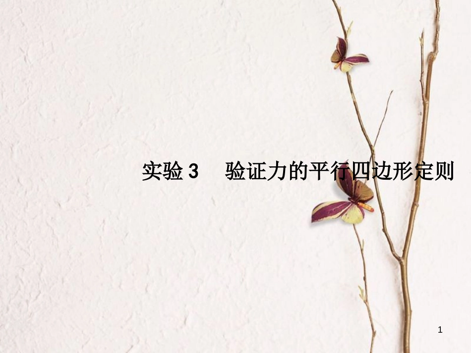 （新课标）2019版高考物理一轮复习 实验3 验证力的平行四边形定则课件_第1页