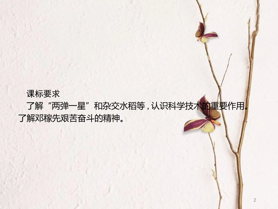 八年级历史下册 第四单元 国防建设与科技文化的发展 第18课 尖端科学技术的突破课件 北师大版_第2页
