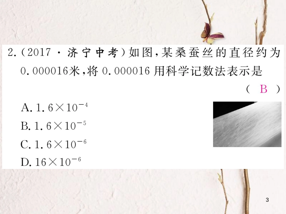 七年级数学下册 第一章 整式的乘除 1.3 同底数幂的除法 第2课时 用科学记数法表示较小的数练习课件 （新版）北师大版_第3页