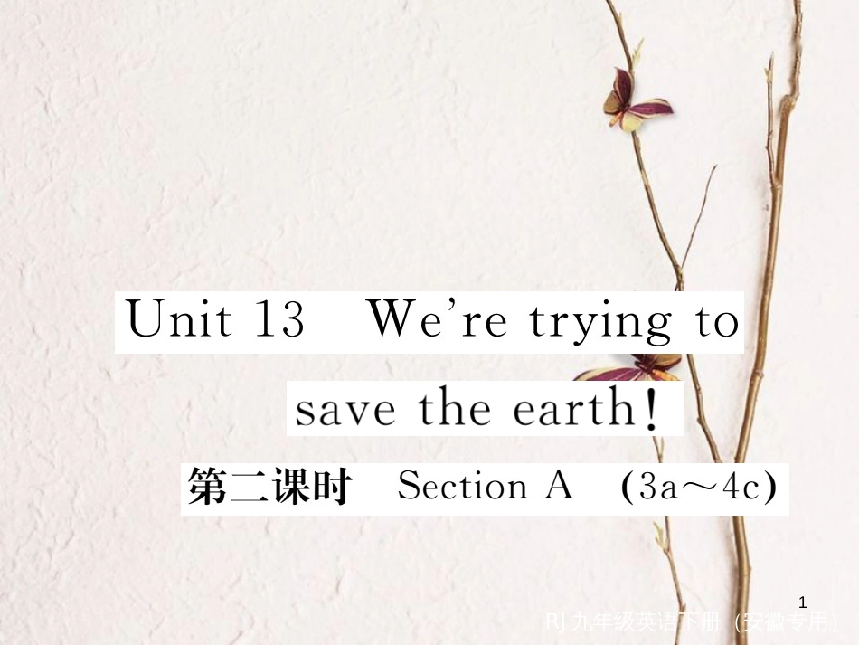 （安徽专版）九年级英语全册 Unit 13 We’re trying to save the earth（第2课时）习题课件 （新版）人教新目标版_第1页