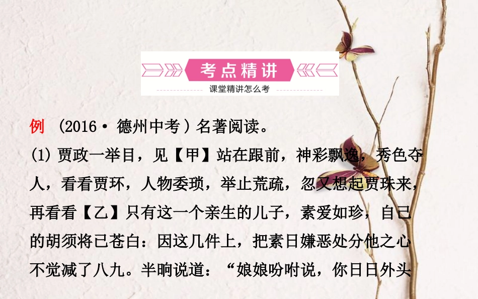 山东省德州市中考语文 专题复习七 名著阅读课件_第2页