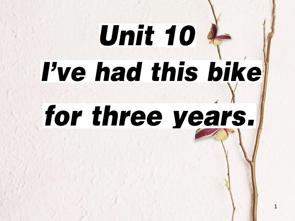 八年级英语下册 Unit 10 I’ve had this bike for three years（第4课时）习题课件 （新版）人教新目标版_第1页