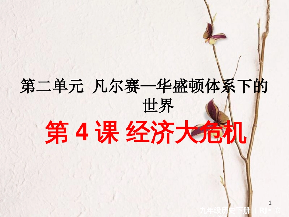 （安徽专版）九年级历史下册 第二单元 凡尔赛—华盛顿体系下的世界 第4课 经济大危机同步测试课件 新人教版_第1页