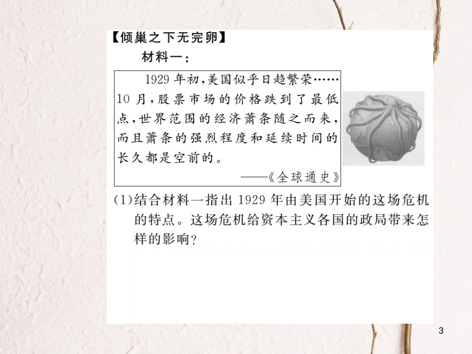 （安徽专版）九年级历史下册 第二单元 凡尔赛—华盛顿体系下的世界 第4课 经济大危机同步测试课件 新人教版_第3页