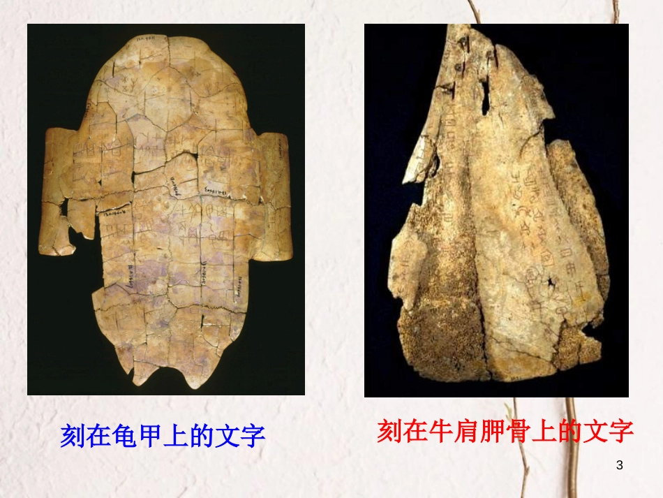 七年级历史上册 第二单元 国家的形成与发展 5 甲骨文与青铜器课件9 冀教版_第3页