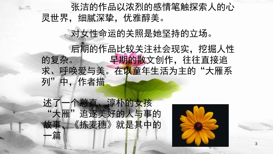 七年级语文下册 第一单元 2《拣麦穗》新知识课件3 冀教版_第3页