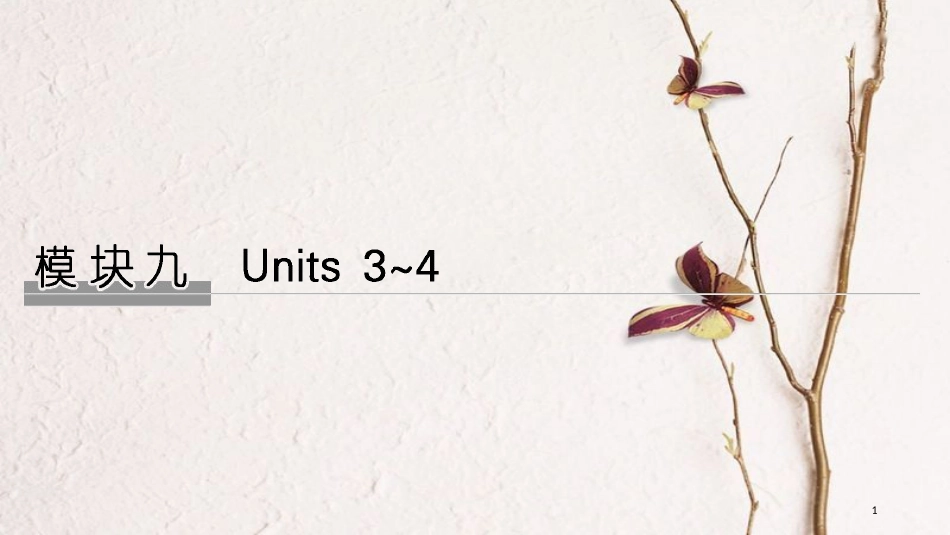 2019版高考英语大一轮复习 模块九 Units 3~4课件 牛津译林版选修9(1)_第1页